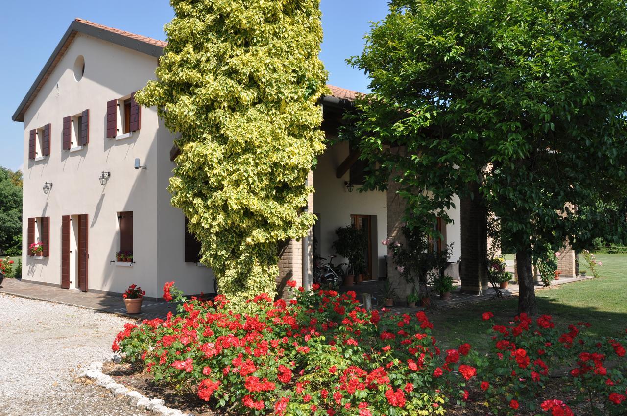 Agriturismo Ancillotto Villa Meolo Exterior photo